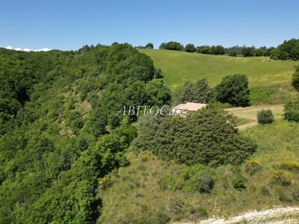 Casale Fonte