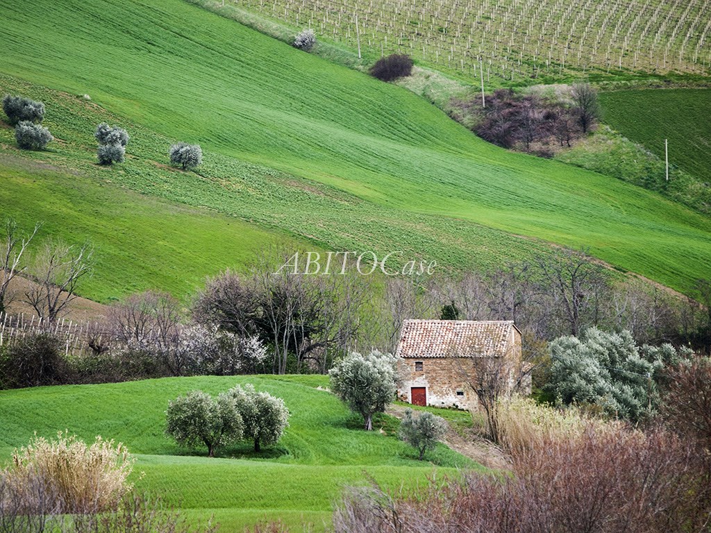 Casale Loretello