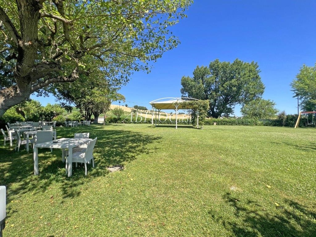Tenuta dei Gelsi