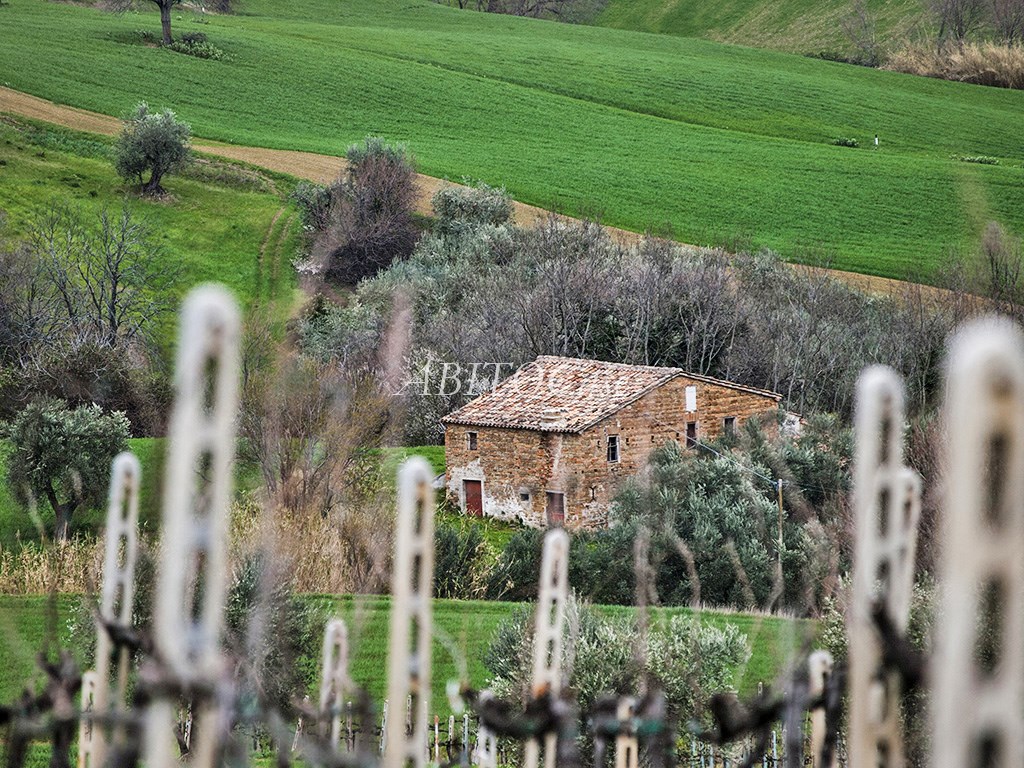 Casale Loretello