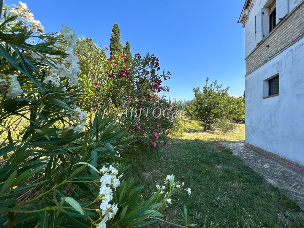 Casale Orizzonte