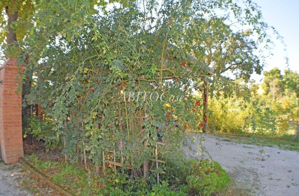 Casale Belvedere