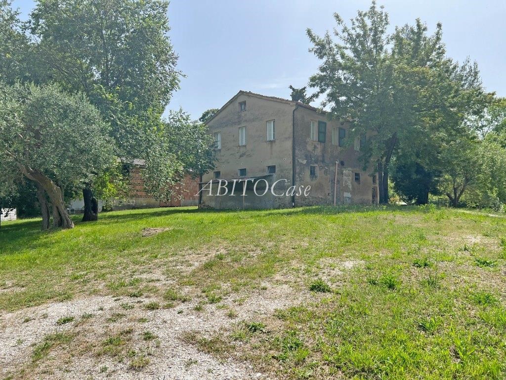 Casale Verdicchio