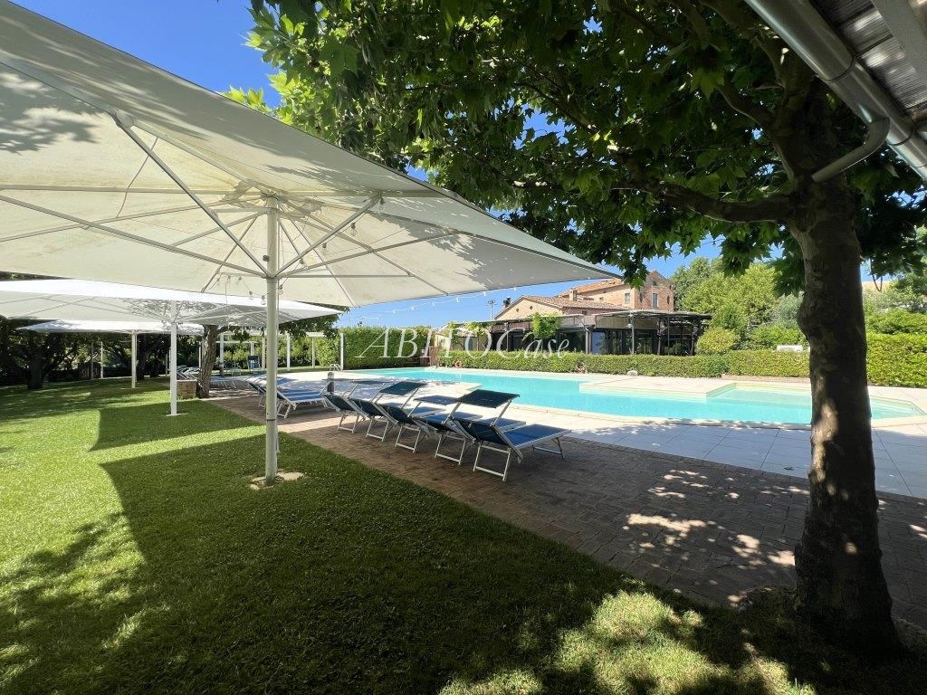 Tenuta dei Gelsi