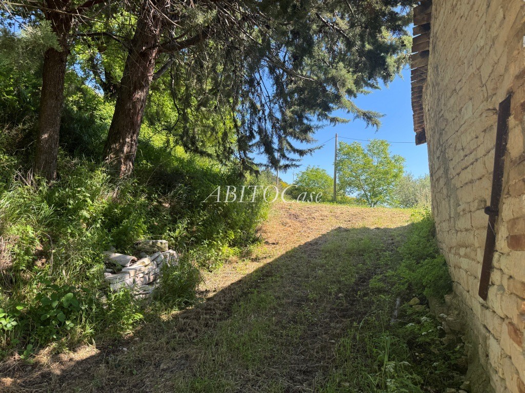 Casale Fonte