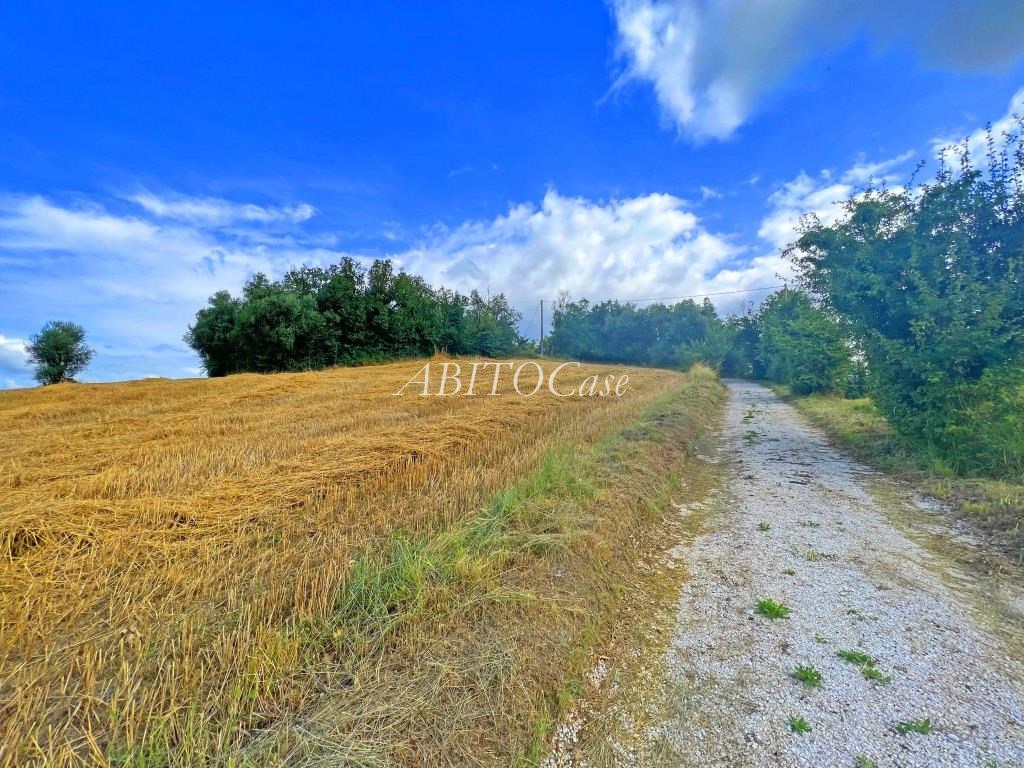 Casale Boschetto
