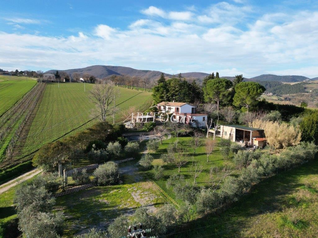 Casa Luce
