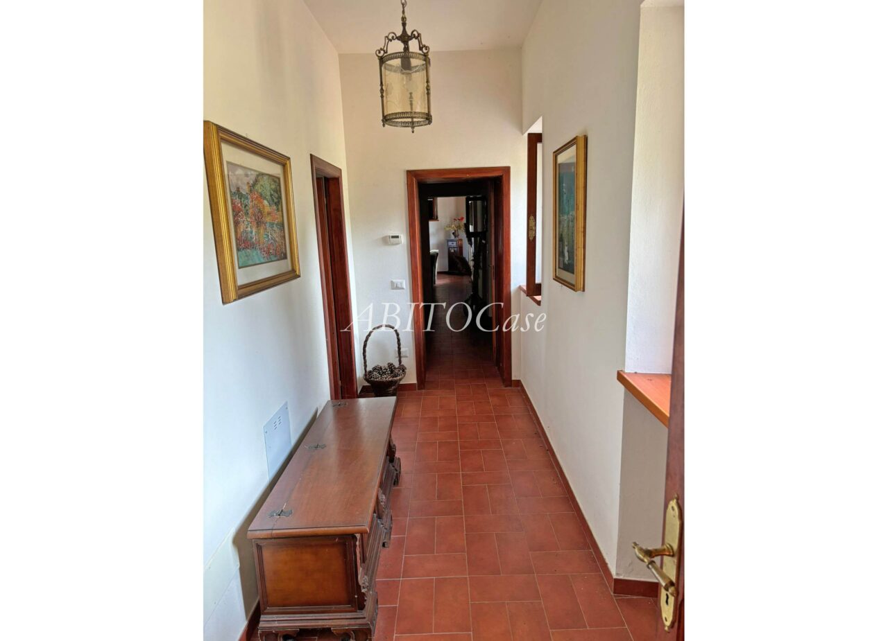 Casa White
