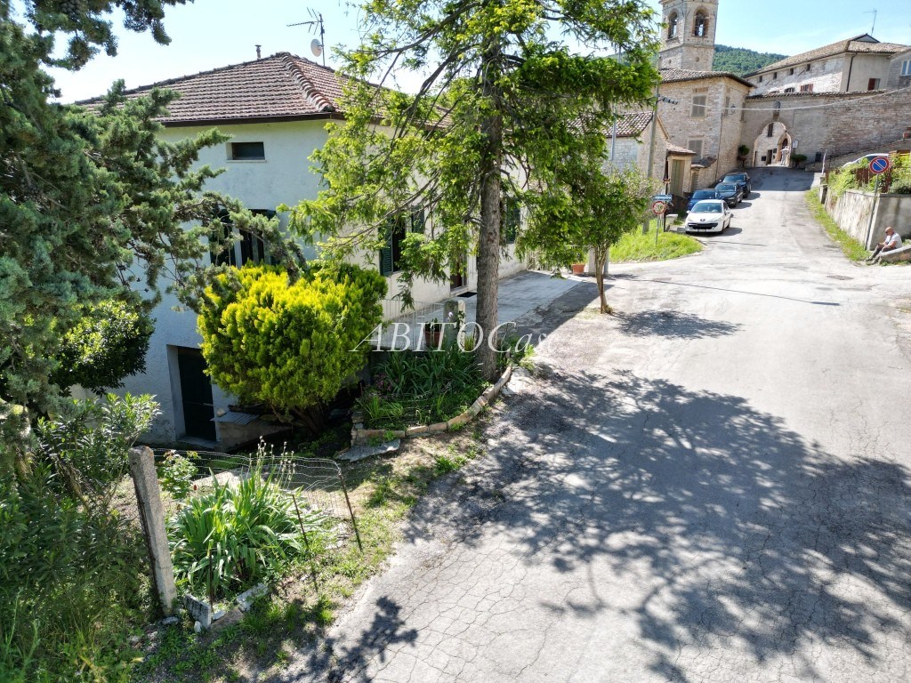 Casa Pino
