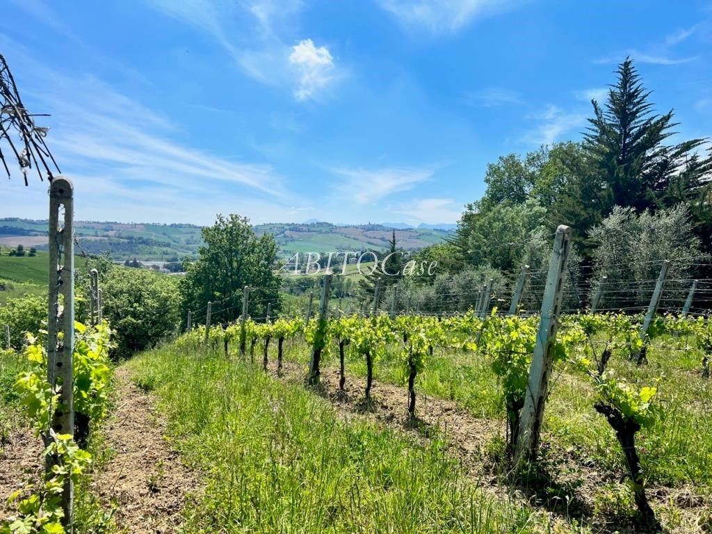 Casa Vigna