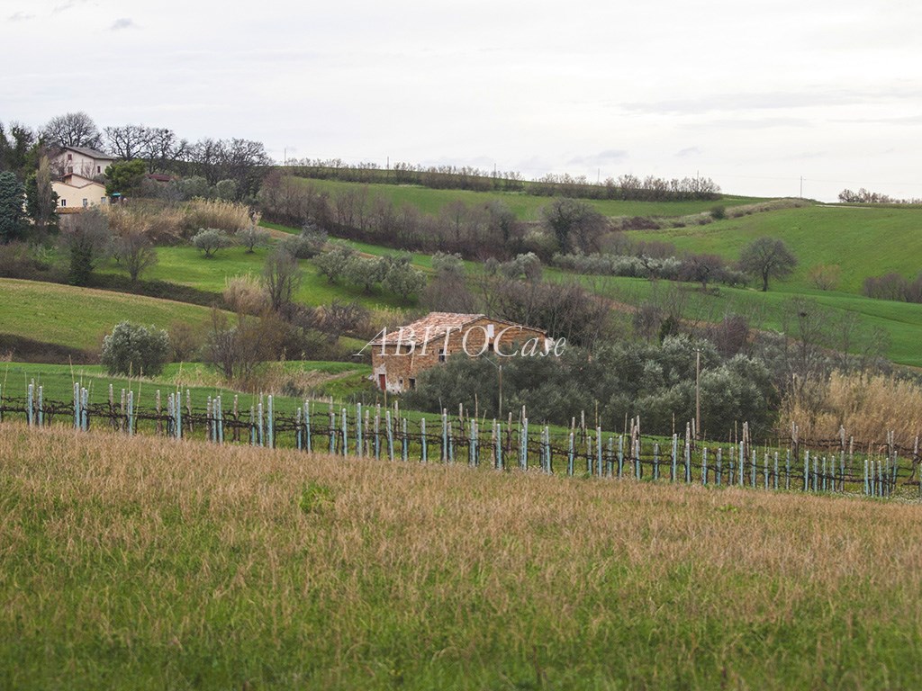 Casale Loretello