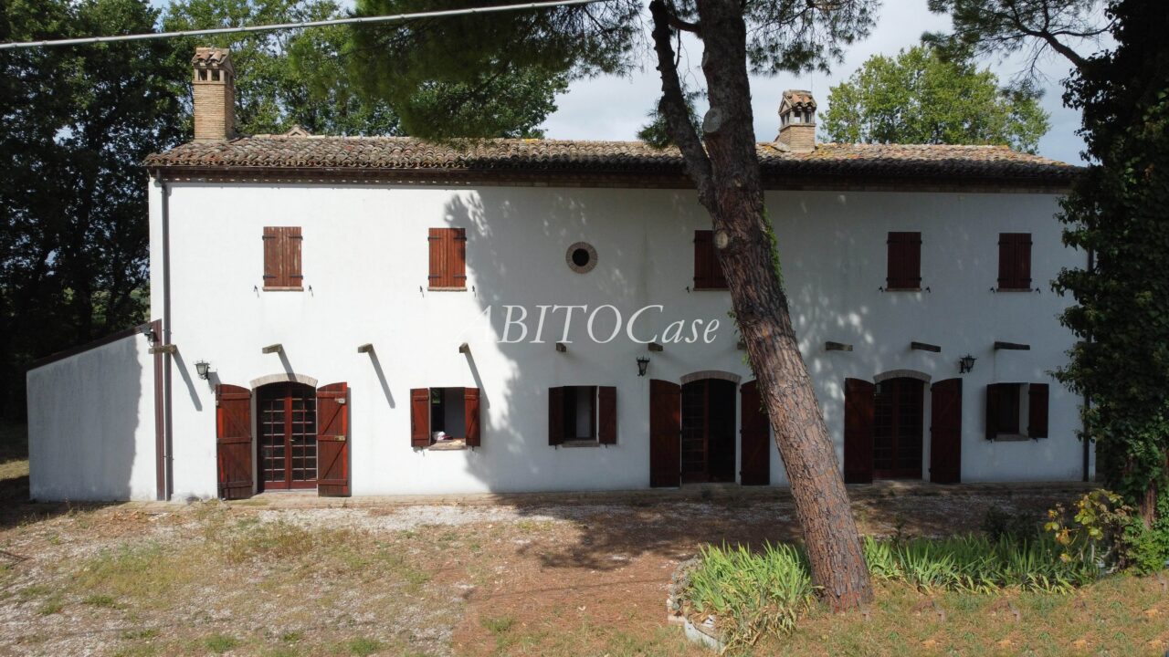Casa White