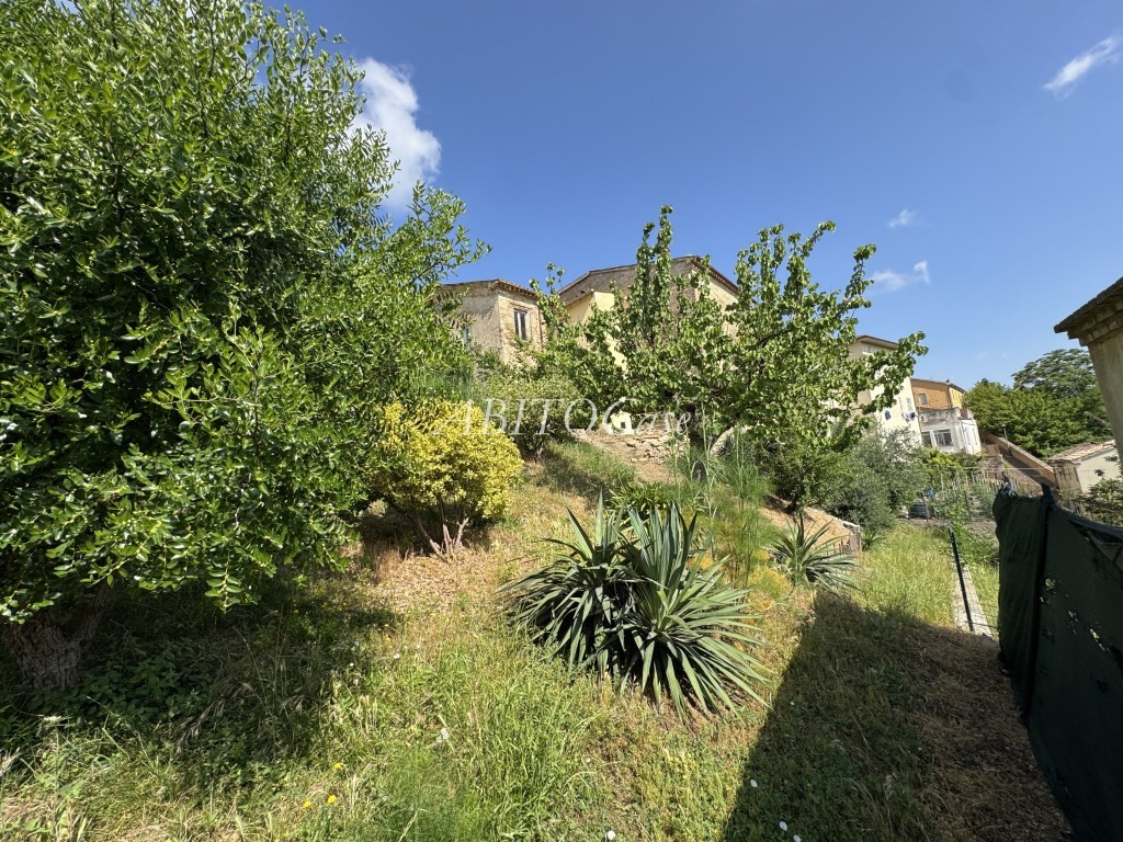 Casa Borgo