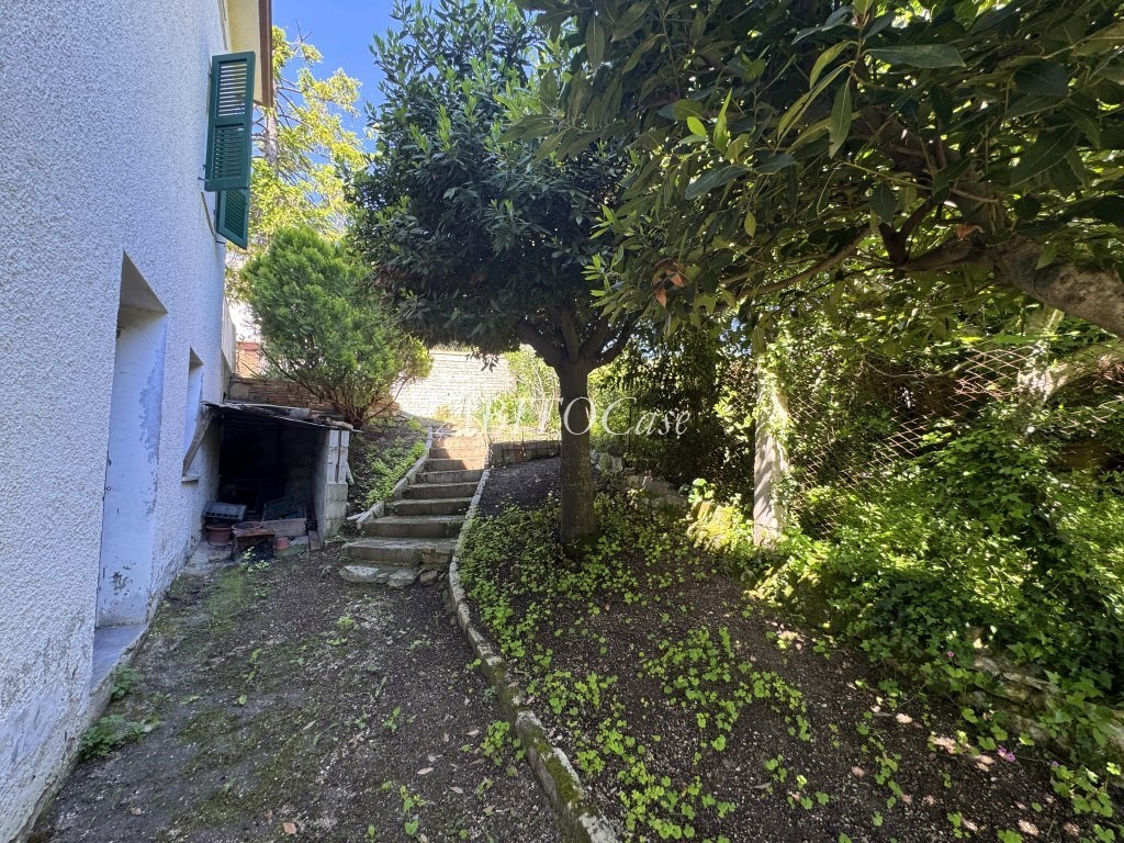 Casa Pino