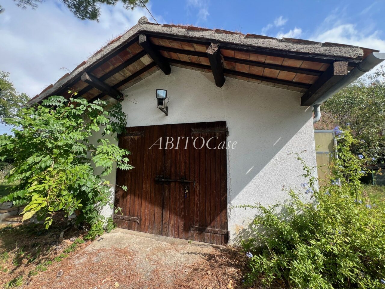 Casa White