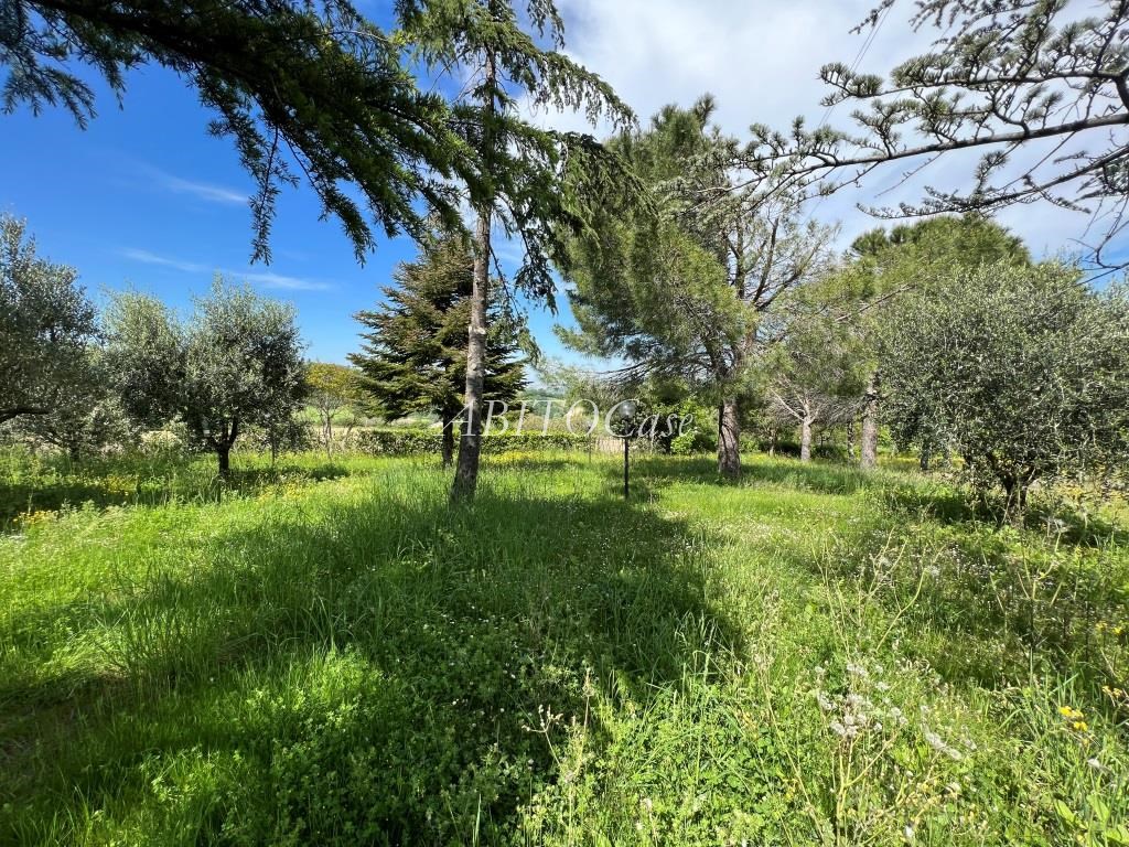 Casale del Colle
