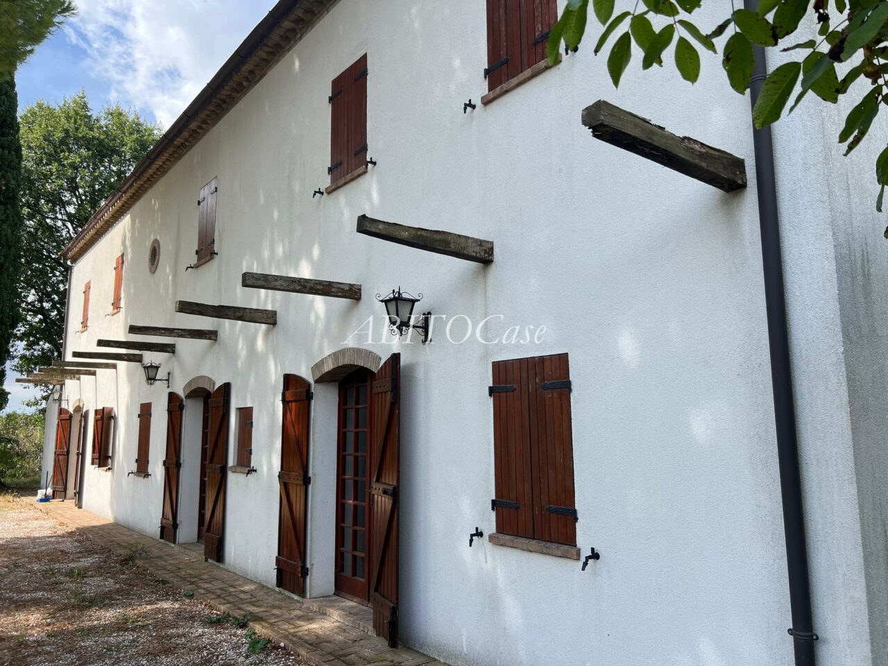 Casa White