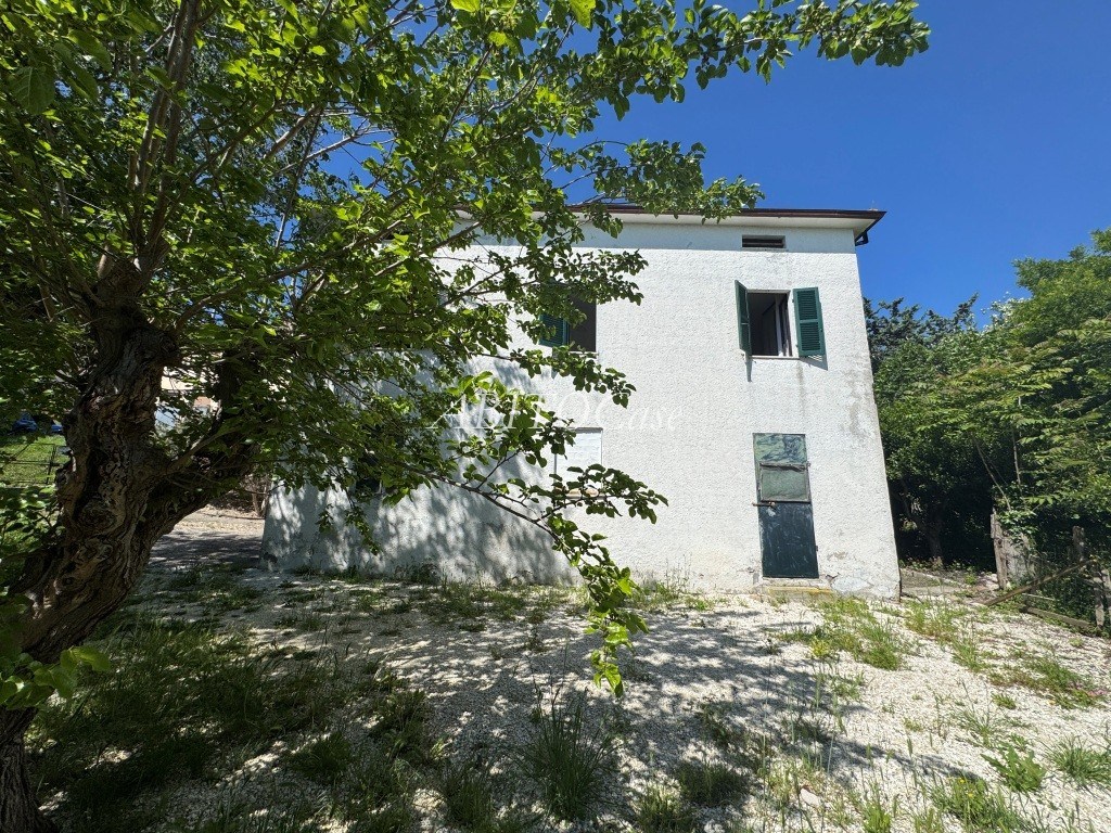 Casa Pino