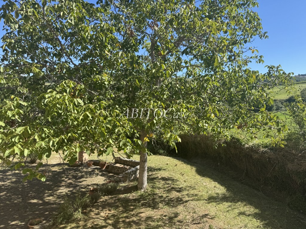 Casale delle Colline