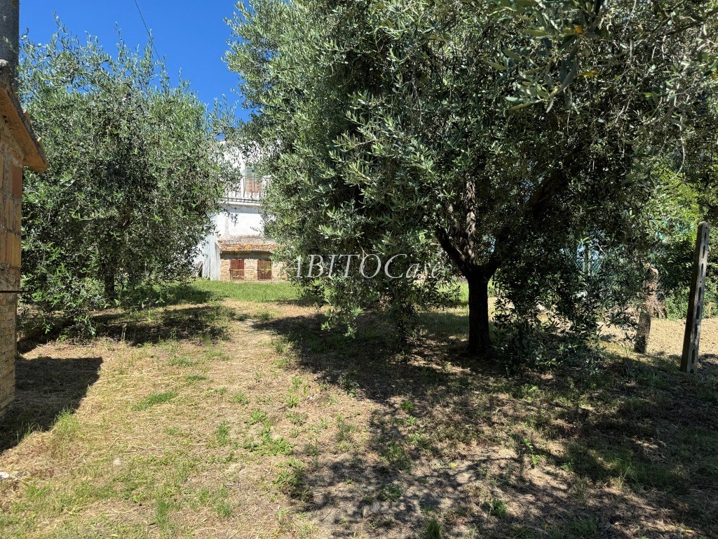 Casale Maria