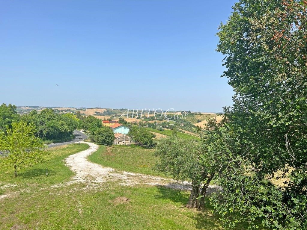 Casale Verdicchio