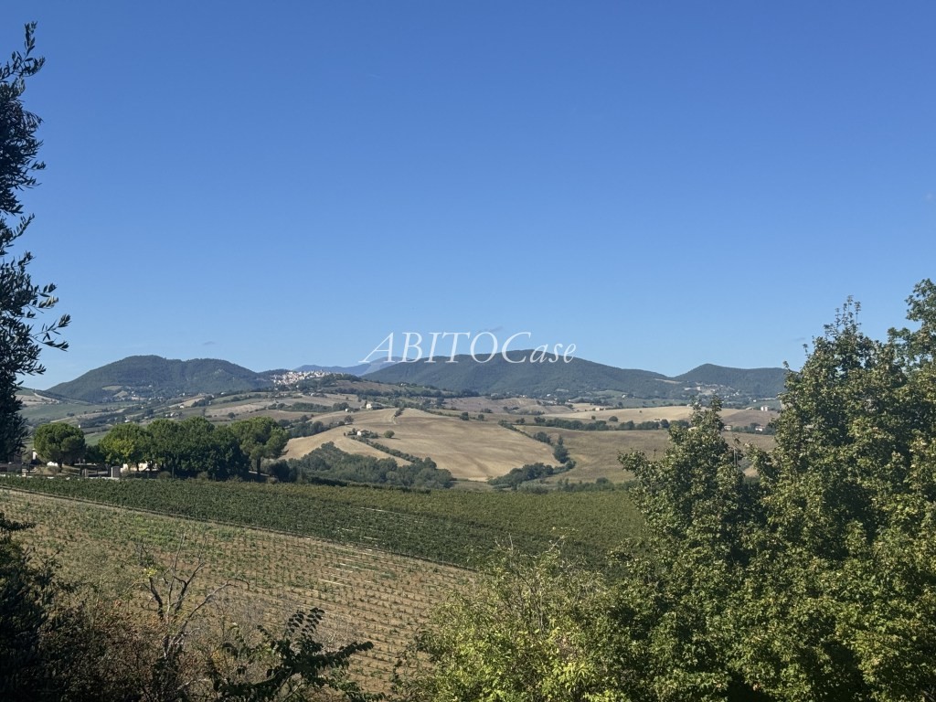 Casale delle Colline