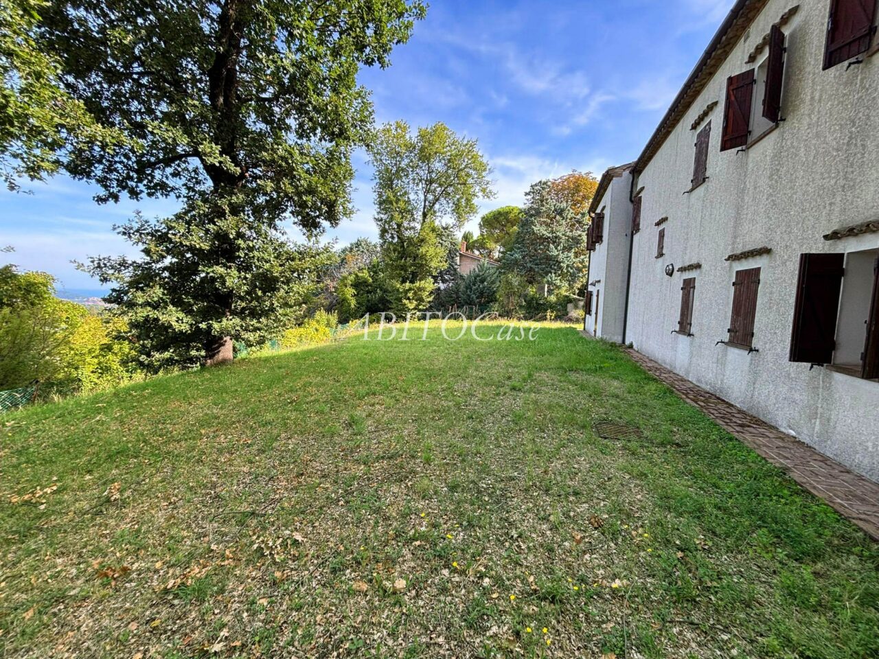 Casa White