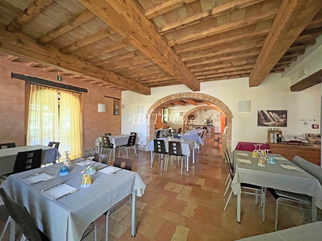 Tenuta dei Gelsi