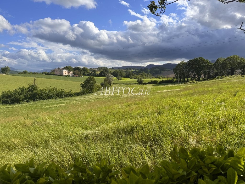Tenuta della Rocca