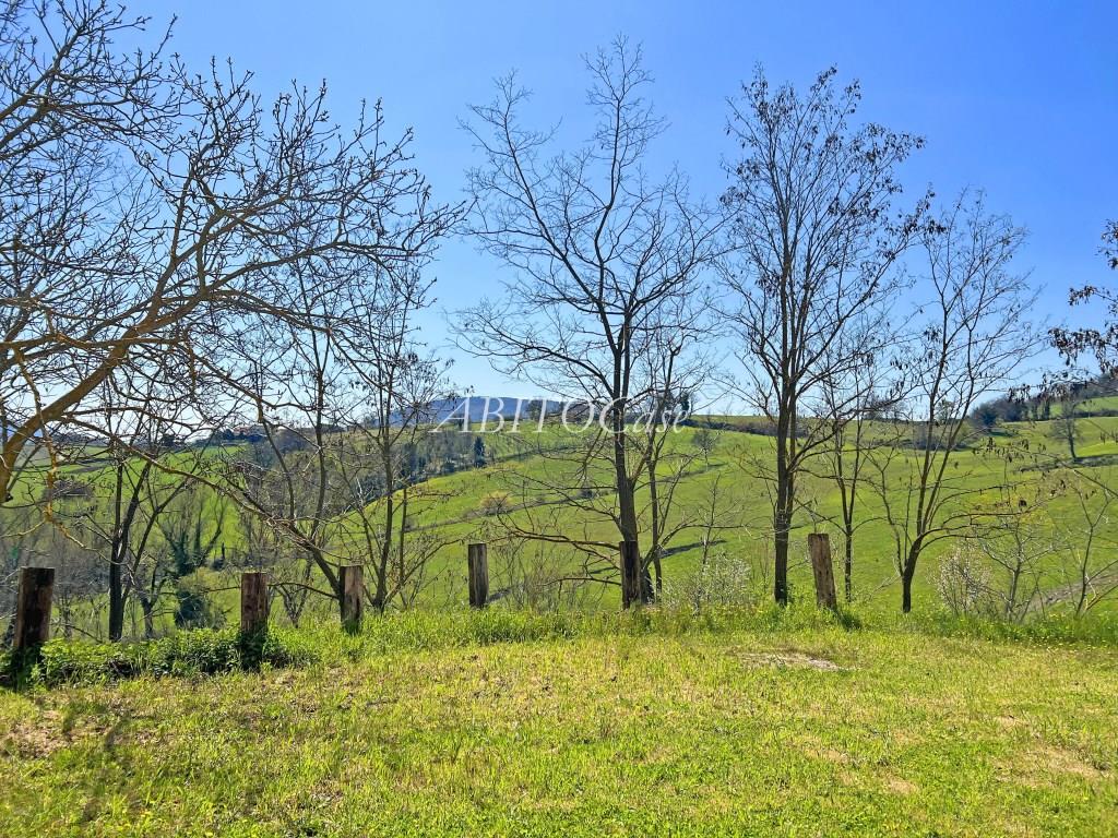 Tenuta Artiere