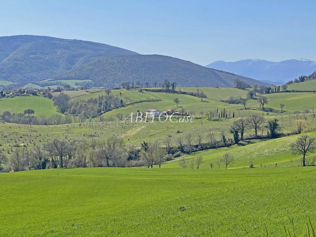 Tenuta Artiere