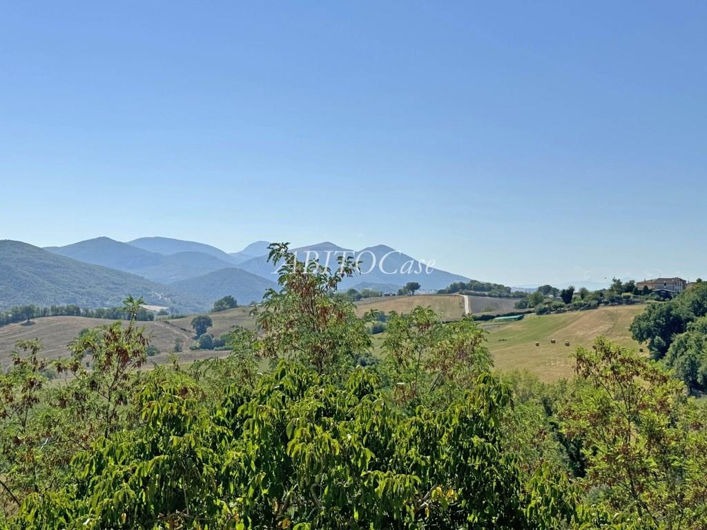 Tenuta Artiere