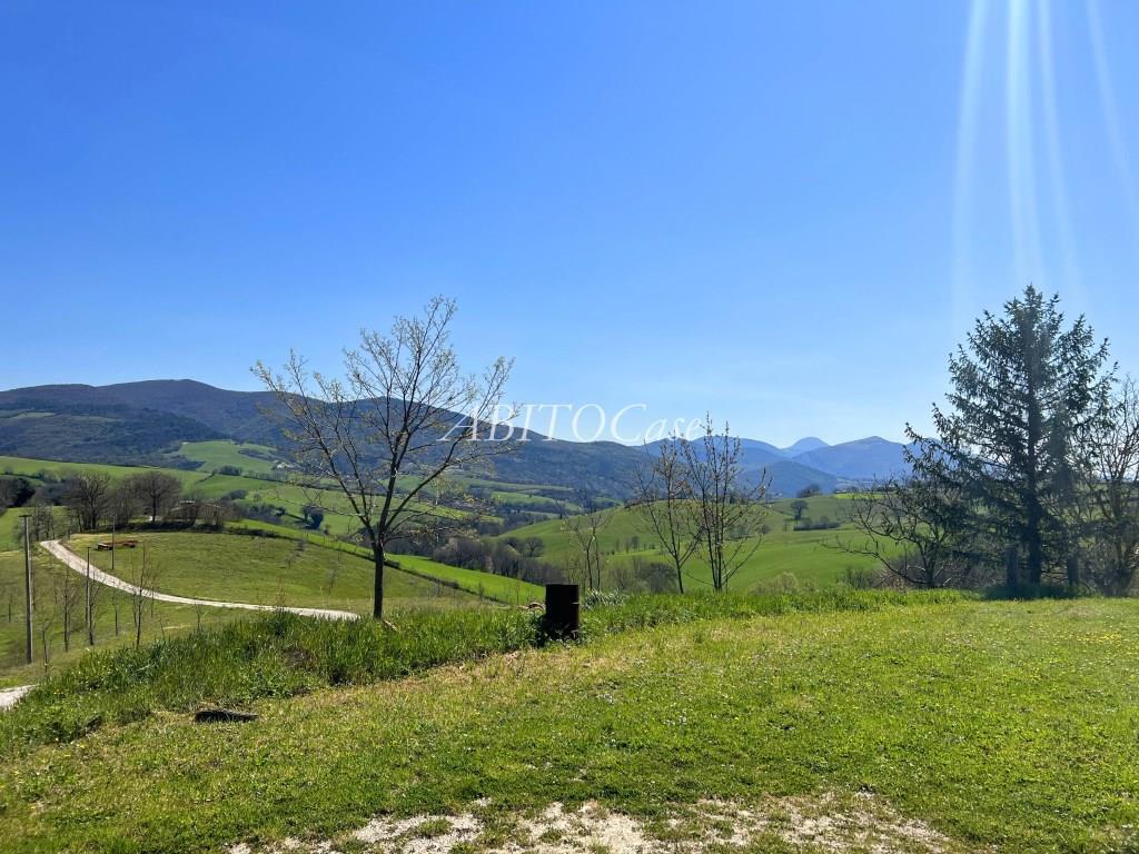 Tenuta Artiere