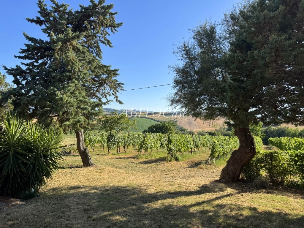 Casa Bellavista