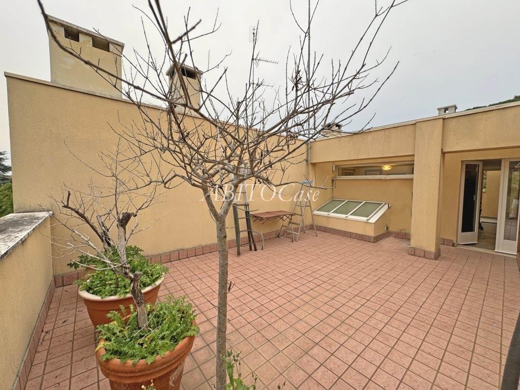 Casa Texture