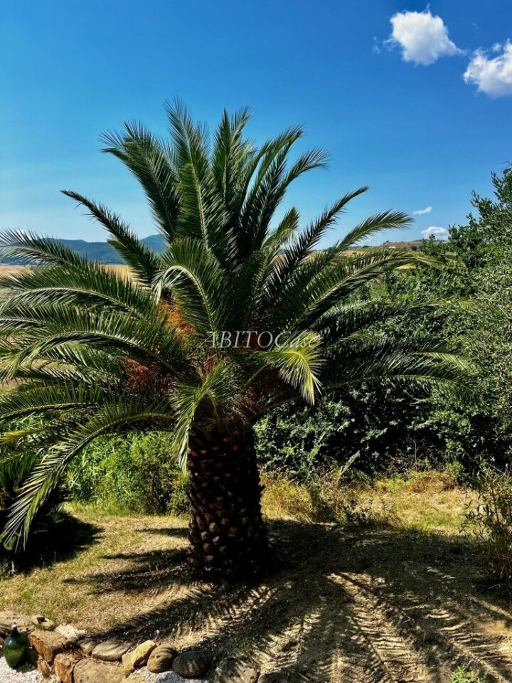 Casale Focolare