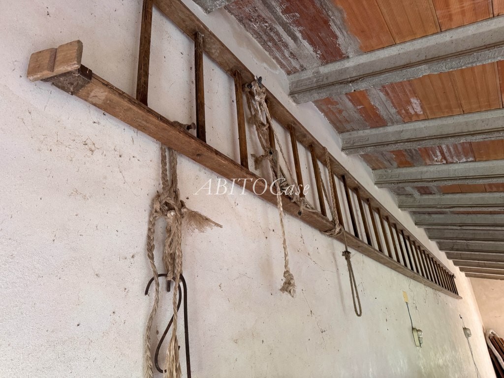 Tenuta della Rocca