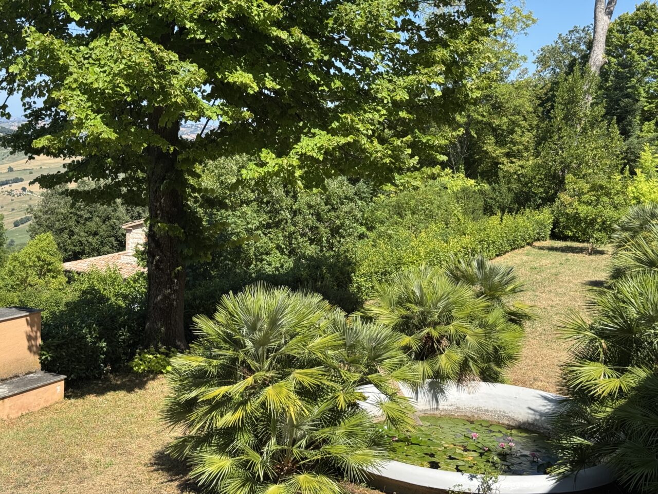 Tenuta Del Cardinale