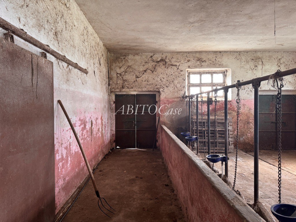 Tenuta della Rocca