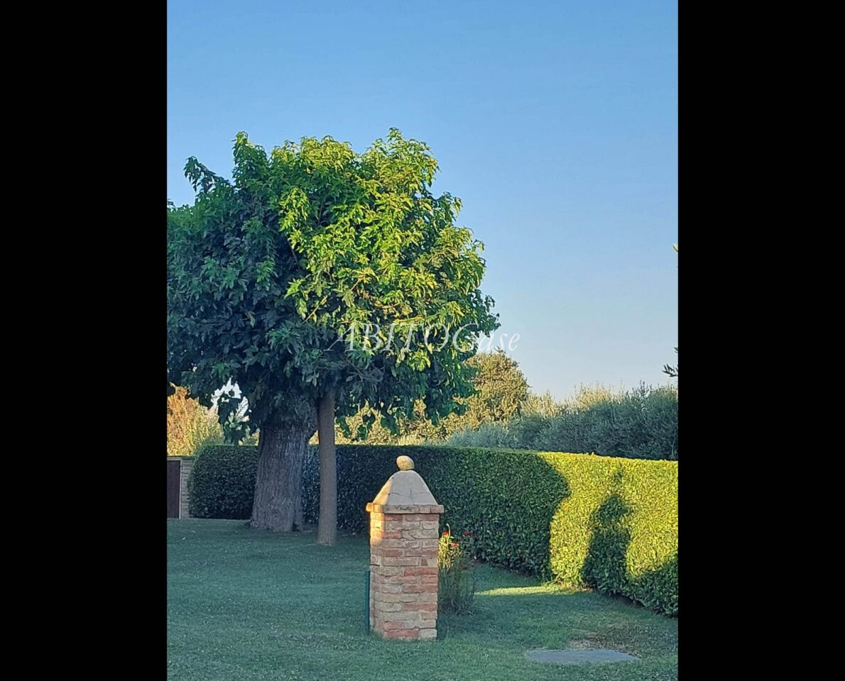 Casale Verdicchio