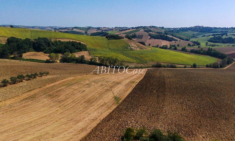 Casale Belvedere