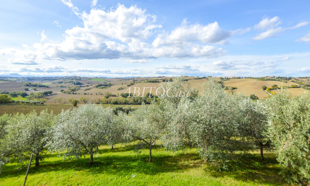 Casale Ulivi