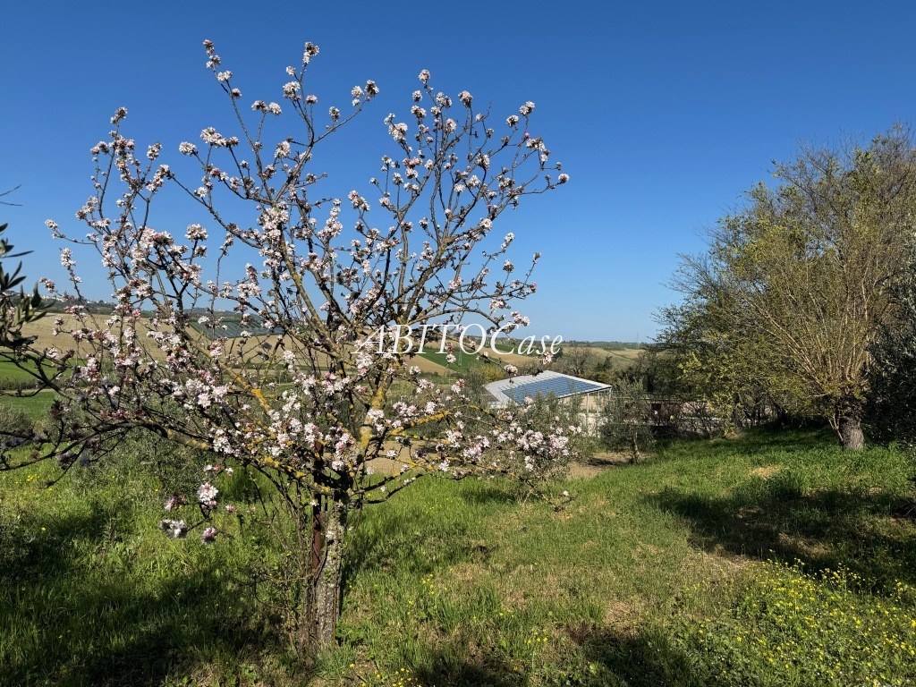 Casale Talevi