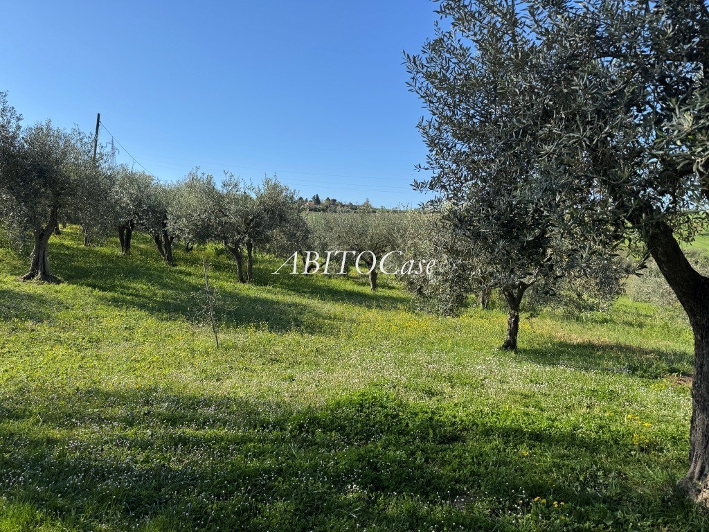 Casale Talevi
