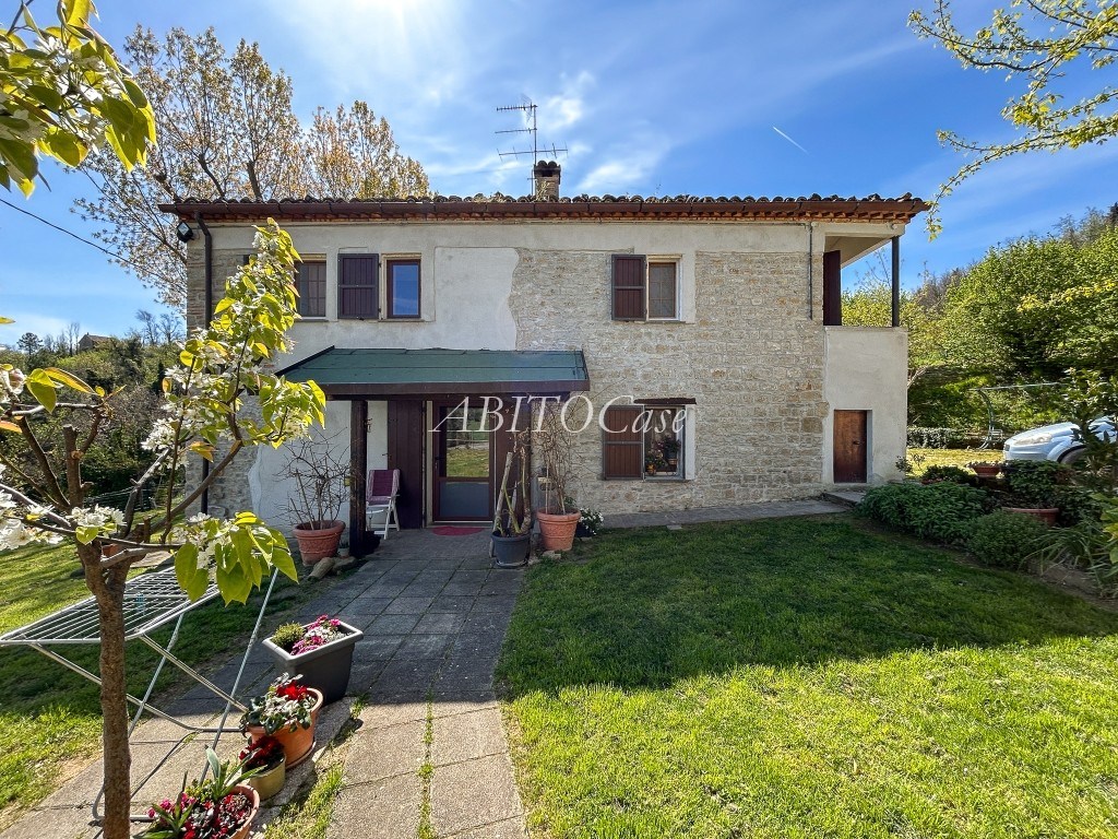 Casale della Vigna