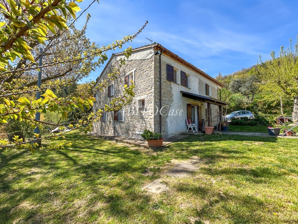 Casale della Vigna