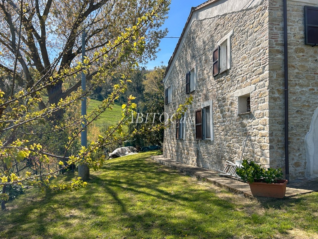 Casale della Vigna