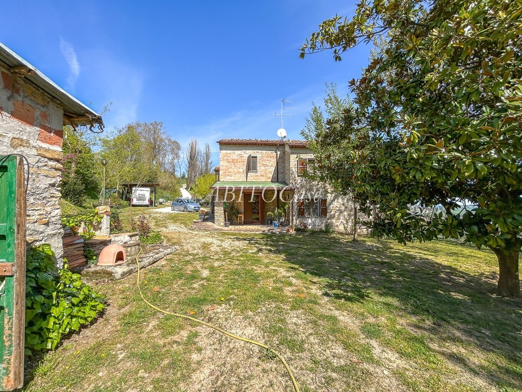 Casale della Vigna
