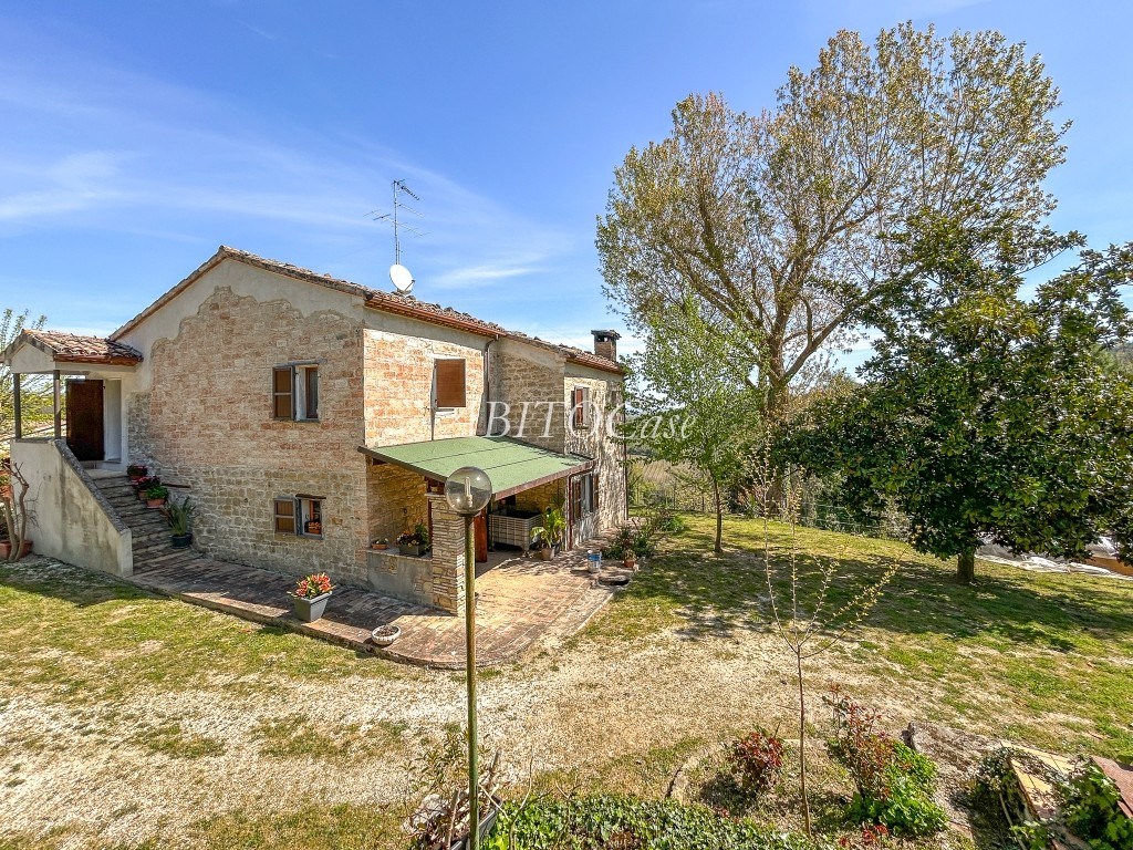 Casale della Vigna