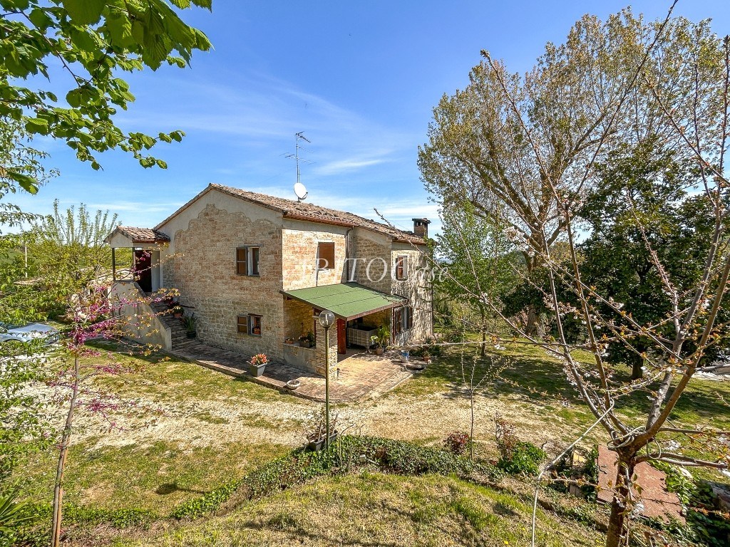 Casale della Vigna
